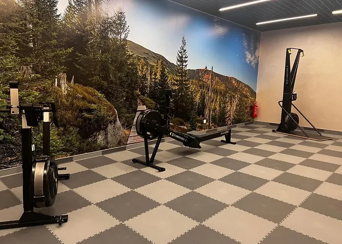 Park A15- Z Dostepem Do Basenu, Sauny, Jacuzzi, Silowni Apartmán Sklářská Poruba